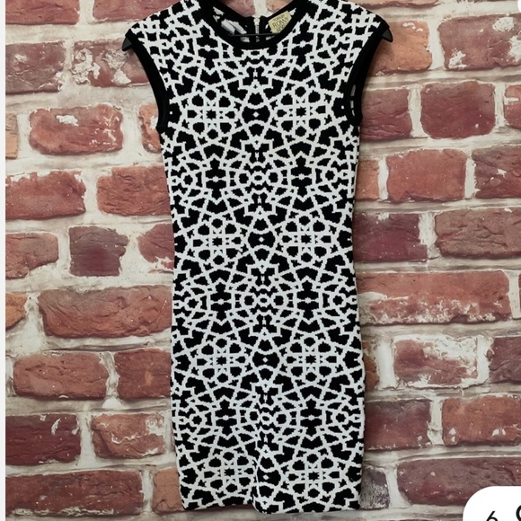 Torn by Ronny Kobo (Small) Black & White Patterned Body-con Sweater Mini Dress - Picture 13 of 13